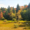 Charles Creek Trail in the Fall.  Photo by Mike Boyes