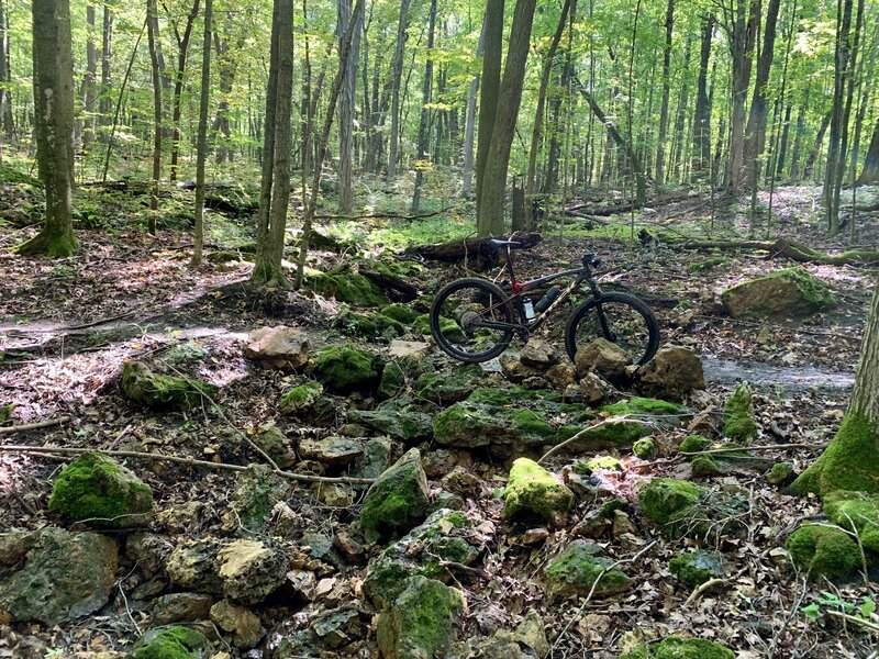 Holy Schist - One of many creek crossings.