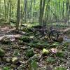 Holy Schist - One of many creek crossings.