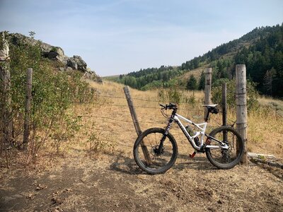 End of the line at the east forest boundary. Trail fades to its end at the locked gate.