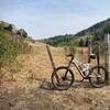 End of the line at the east forest boundary. Trail fades to its end at the locked gate.