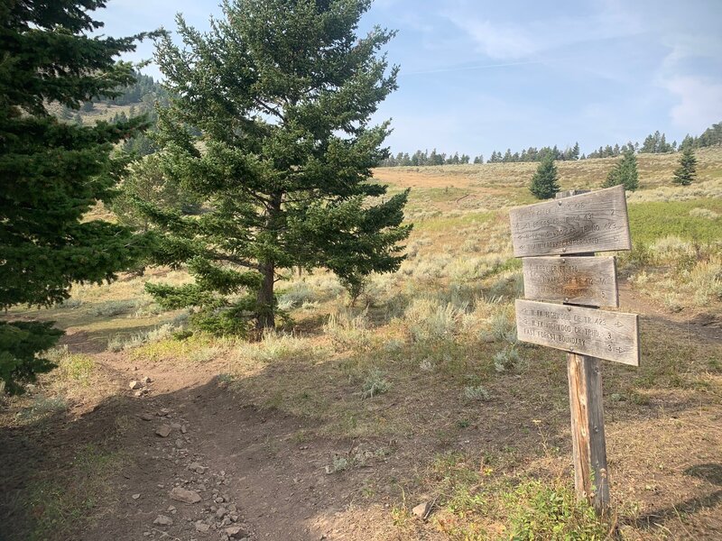 Looking north at N Fork Highwood Creek-Kirby Creek Trails junction. NFHC descends a blissful 3.4 mi. to TH, KC climbs gently to distant ridge and descends to eastern base of Briggs Creek Trail.