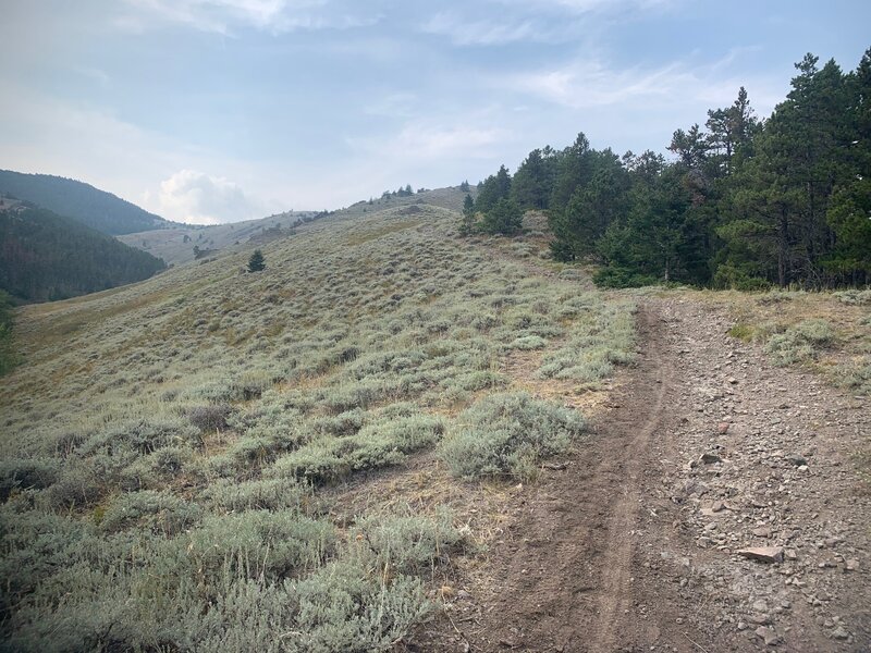 Westbound back up the reamining ~800 ft. climb on return, loose and difficult terrain w/no shame in hike-a-bike for sections.