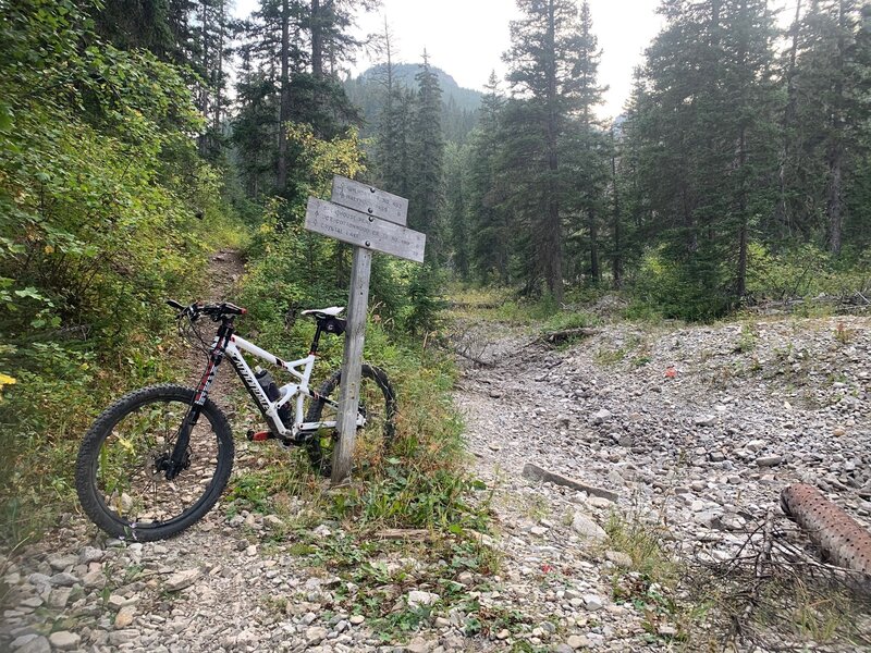 Looking SW at start of technical singletrack alongside Half Moon Creek. Multiple wet crossings higher, together with the Big Snowies' signature rocks and roots. At ~5 mi., trail breaks out and fades through open meadows before final push to HMP.