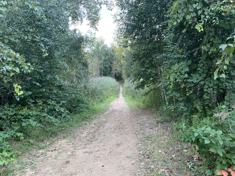 Downhill on the trail Bouleau