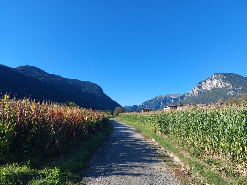 The ridge of Monte Misone (left), seen from the small paved road in the fields near Stumiaga (Fiavè).