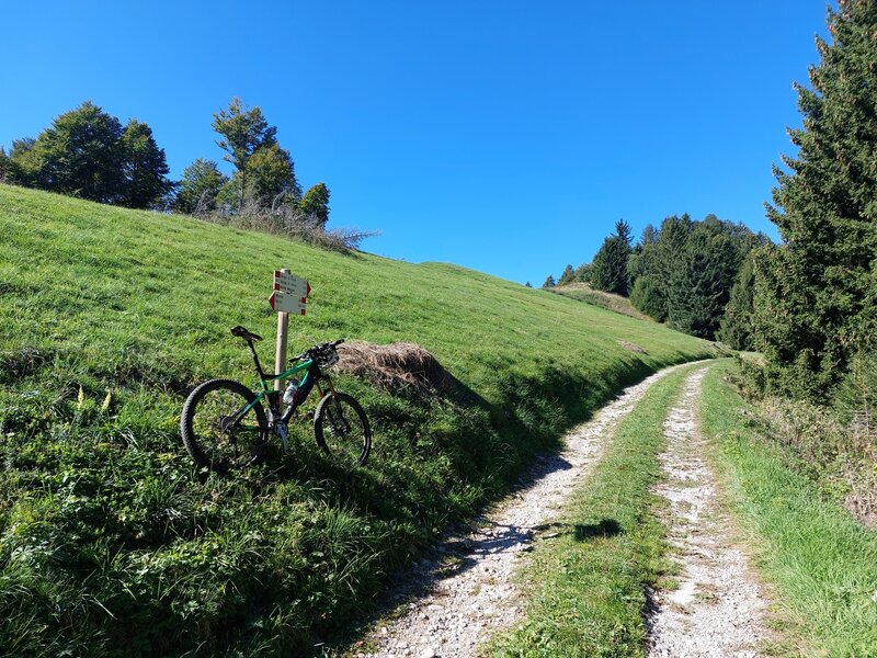 The upper end of Strada del Misone and the lower end of doubletrack to Malga Fiavè.