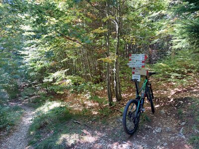 Sella del Misone (1,585 m): start of Sentiero #432
