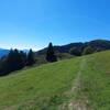 First view to the summit of Monte Misone (seen from Malga Fiavè).