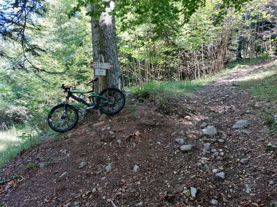 Cercenà (elev. 1,100 m) - The lower end of Misone-Ballino-Trail (Sentiero #432)