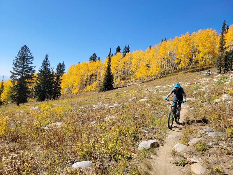 Riding out of the aspen groves in early October.