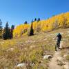 Riding out of the aspen groves in early October.