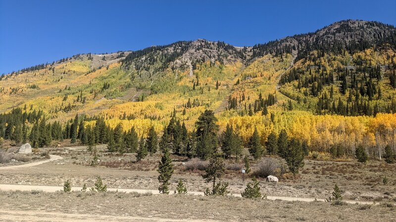 Nice aspens at the end of September