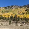 Nice aspens at the end of September