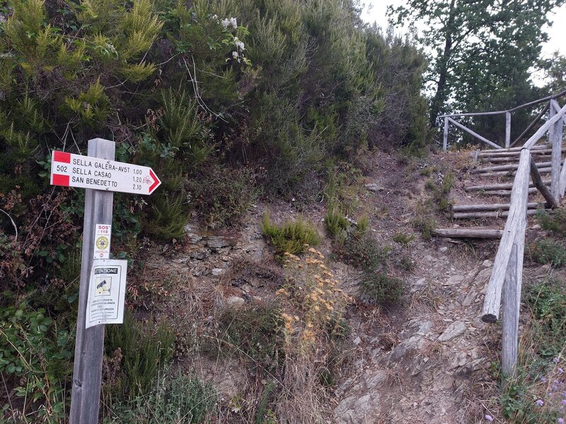 The end of SellaLaCroce -Downhill at ViaDeiSantuari (Sentiero#530) -  the steps arn't recommended to ride.