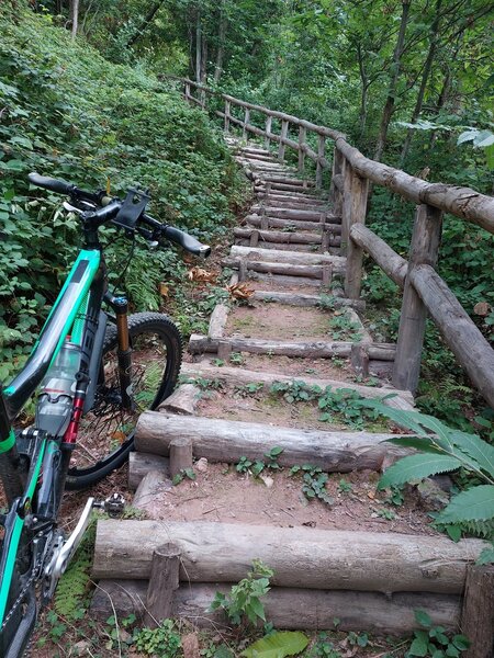 Carpena Downhill: the wooden steps halfway  (I had to hike my bike in uphill - be carefull, when wet!)