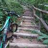 Carpena Downhill: the wooden steps halfway  (I had to hike my bike in uphill - be carefull, when wet!)