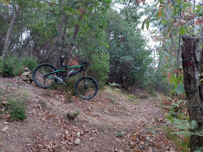 Unmarked downhill from Sella La Croce (comming from left): here it joins Sentiero #502 (coming from behind).