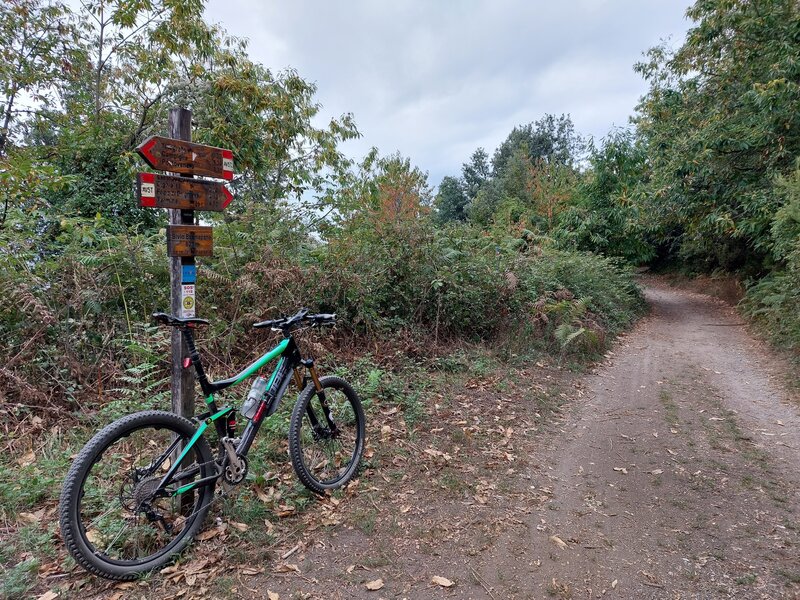 Alta Via Cinque Terre (short: AV 5T) at the saddle Bivio Bramapane (alt. 623 m): AV5T is here a flat and easy doubletrack up to Sella La Croce (alt. 633 m)