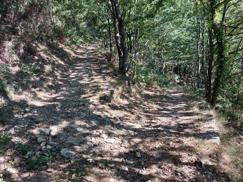 Riomaggiare Downhill (Sentiero #501): the first of two U-turns.