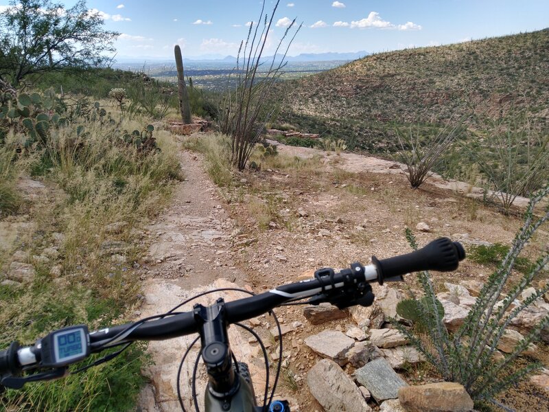 About half way down the trail looking southwest towards Tucson.