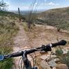 About half way down the trail looking southwest towards Tucson.