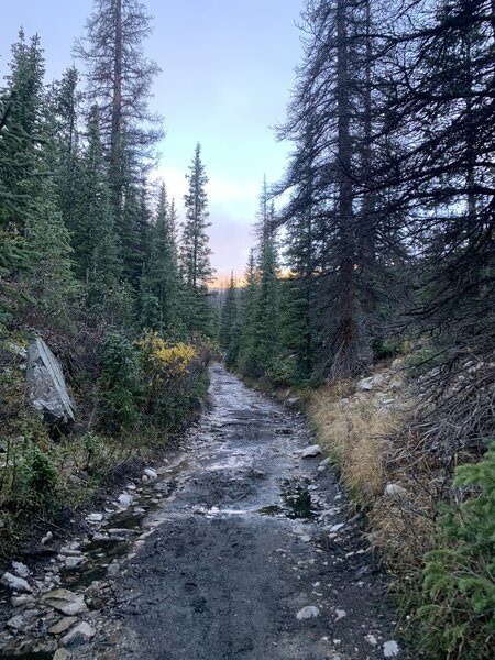 Riding on old railroad path right after starting on Alpine Tunnel trail.