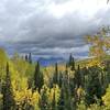 Dyke trail views and aspens are stunning. Ride was eventually fun but quite a few hikers to avoid in the DH section that's closer to Horsecreek ranch.