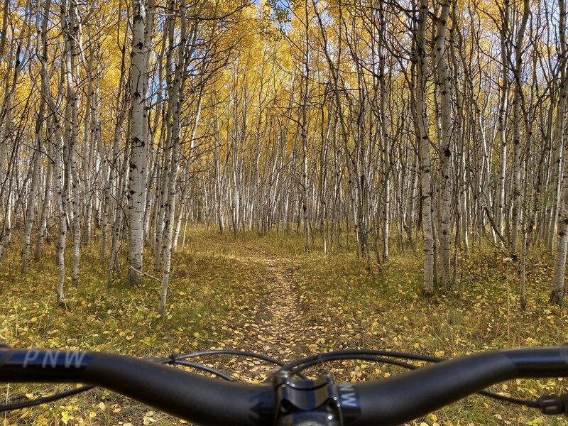 Riding down rimrock trail through the beautiful fall leaves.