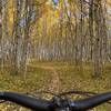 Riding down rimrock trail through the beautiful fall leaves.