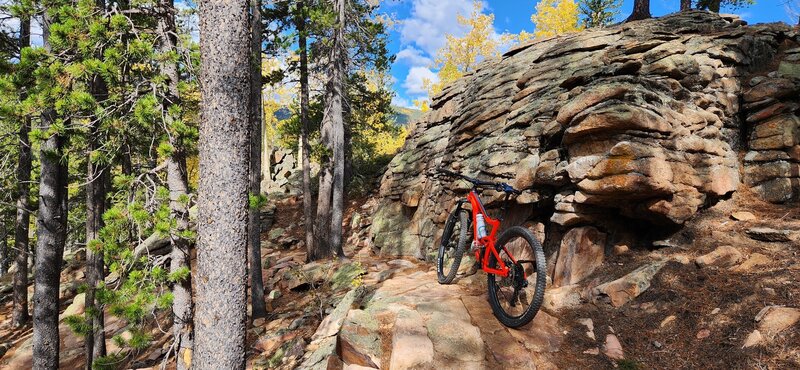 Fall ride with some golden aspens, looking towards the NW.  This is about as tech as it gets on North Elk Creek.