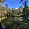 Swimming in Barrabup Pool (St John Brook). Photo courtesy of Explore Parks WA and Bronwyn Wells.