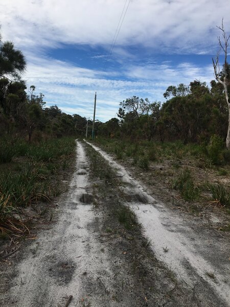 Once you reach the powerlines you know Walpole can't be too far away.