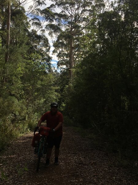 You can't even tell its a hill, but we were all pushing our bikes up this one!