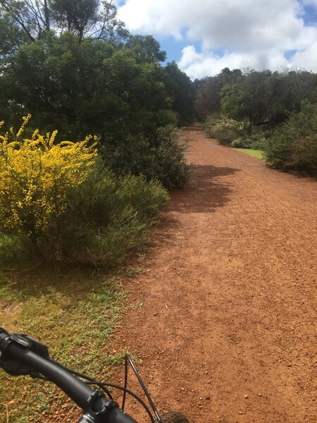 Wildflower season in John Forest National Park.