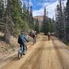 Backpacks are a necessity on Trail RIdge Road; you're almost guaranteed to be taking off or adding layers at some point.