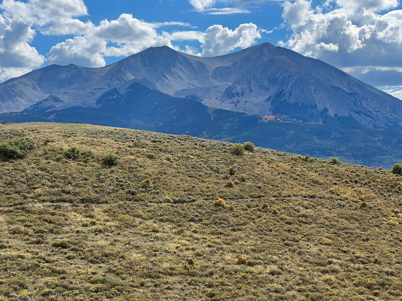 Mount Sopris, with a traversing section of Overie cutting through a sage meadow near top of the Crown.