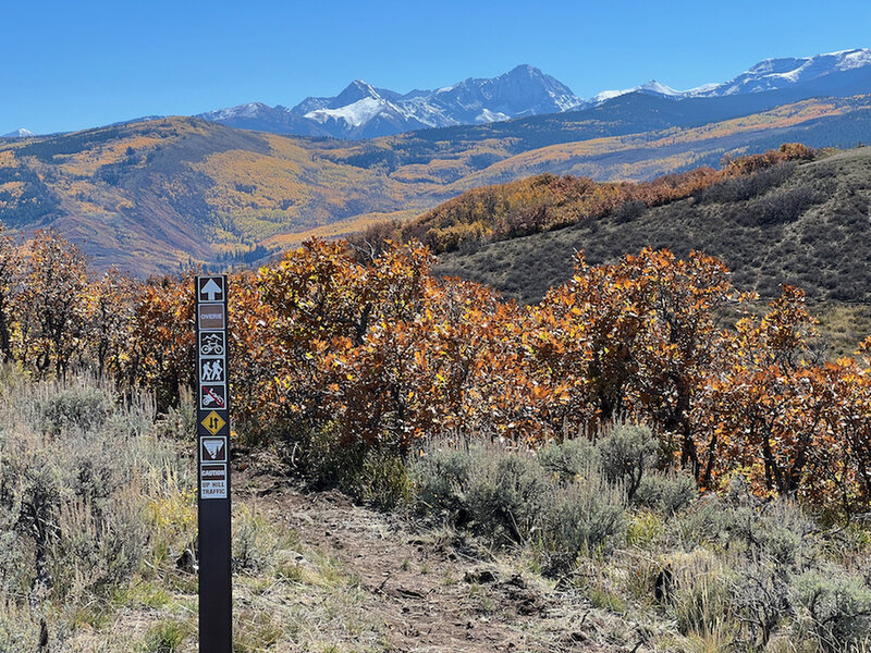 Near top of Overie trail, sage, oak brush, yellow aspens, and 14er Capitol Peak in the distance