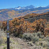 Near top of Overie trail, sage, oak brush, yellow aspens, and 14er Capitol Peak in the distance