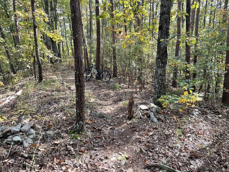 Stover Creek trailhead. Picture taken from the Pinhoti facing South. Stover Creek trail starts just past the tree and rock pile on the right.