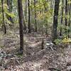 Stover Creek trailhead. Picture taken from the Pinhoti facing South. Stover Creek trail starts just past the tree and rock pile on the right.