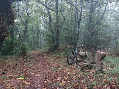 Flowy singletrack-section at AV 5T between saddle Castello (alt.732) and Monte Castello