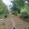 The original path AV5T is regularly cleared of the macchia, here the work is realy fresh...