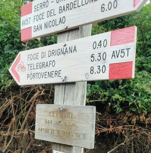 Saddle "Termine", alt. 544 m - here is the northern start to the central part of AV5T.
