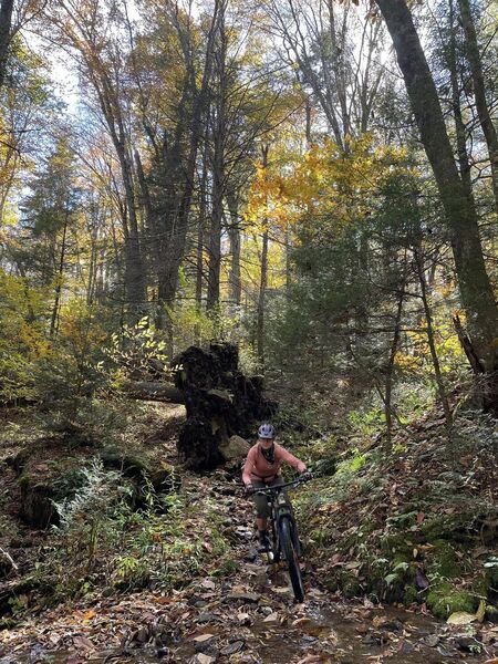 Laura on South Fork.