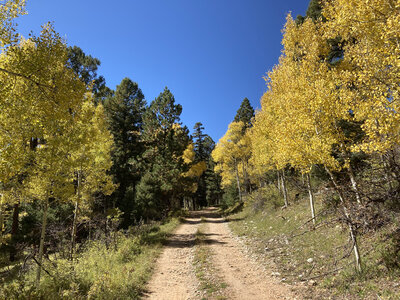 FR 706 during Autumn