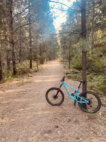 Smooth section on the Klickitat River Trail.