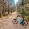 Smooth section on the Klickitat River Trail.