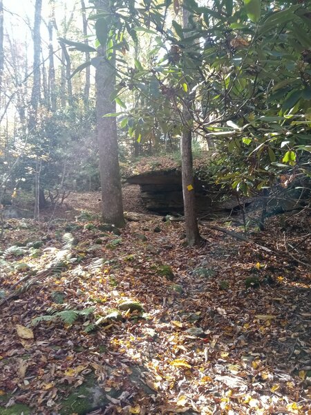 A cool rocky section of Rhododendron Run singletrack. Yellow blazes mark the trail.