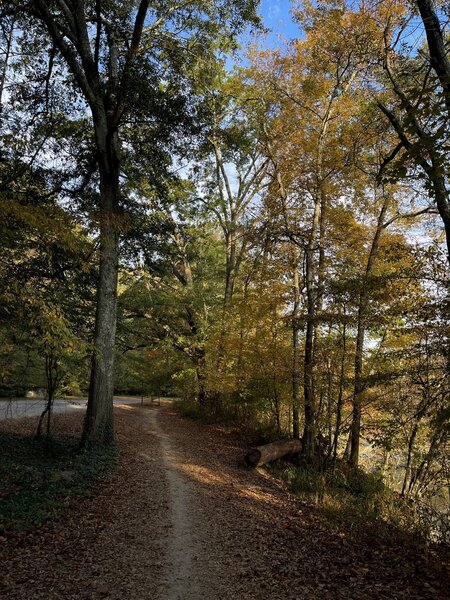 Cochran Shoals - lower gravel section by the Chattahoochee, south entrance.